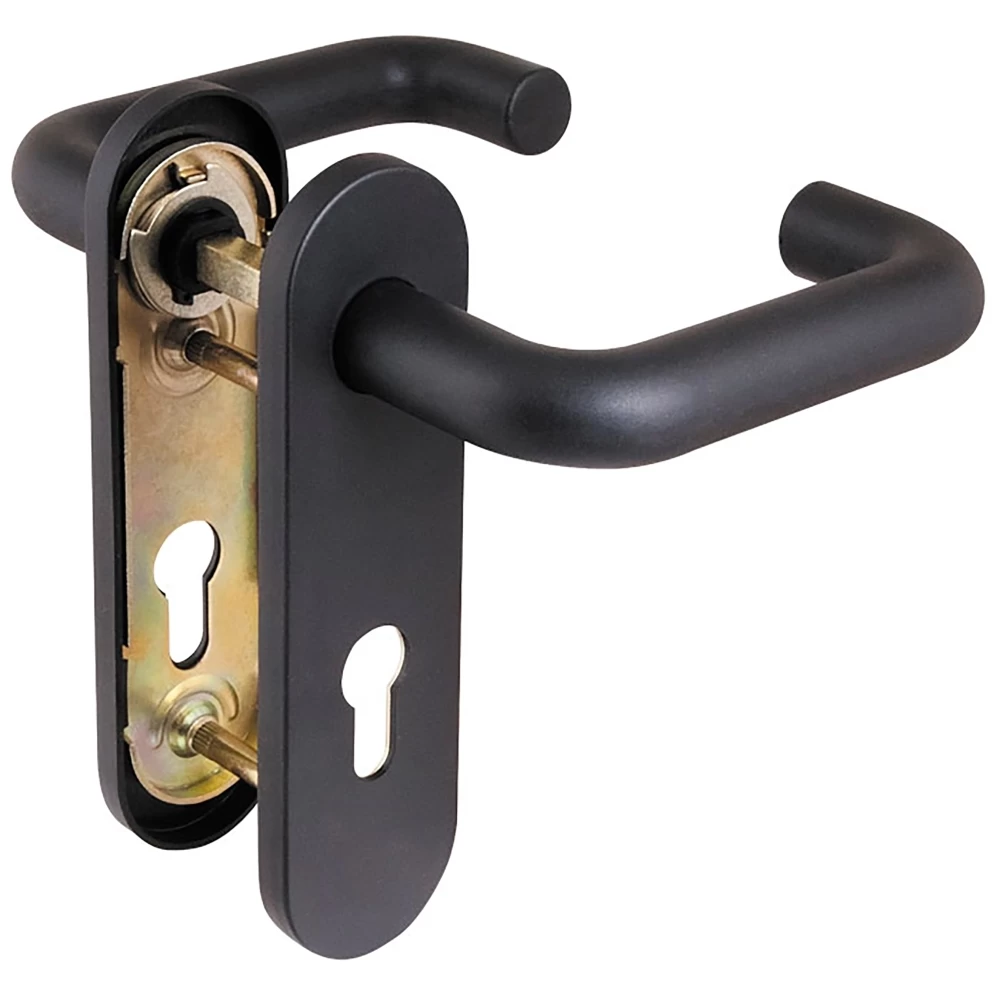 Фото Ручка дверная FP.DH172.0433 NE (B2B)  (8x120) с пружиной BL-24 черный