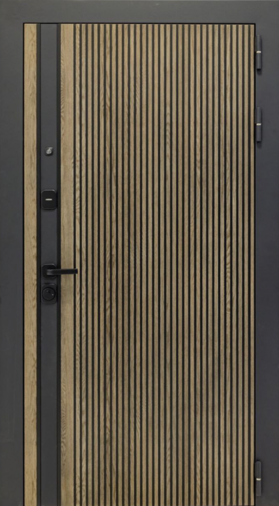 Входная дверь ДвериПРО Rosna ФЛ-256 (10мм, бетон снежный) DPRO197928 внешняя сторона